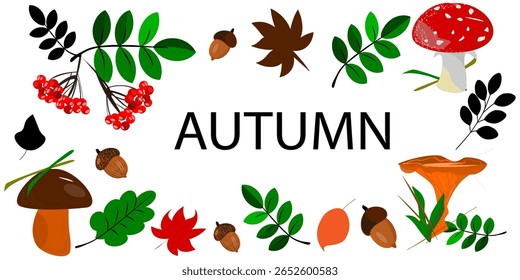 Autumn vector set of elements. Cozy autumn stickers. White mushroom, fly agaric, chanterelle mushroom, viburnum branch, acorns, various leaves. Inspiration, hello, autumn. Illustration in hand drawing