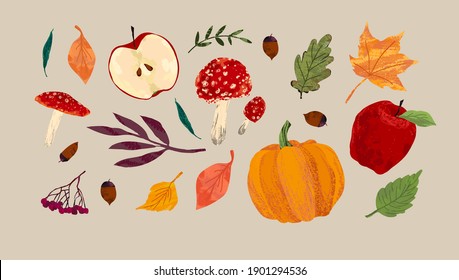 Autumn vector set. Harvest, apple, pumpkin, mushrooms, bright leaves, rowan, acorns. Freehand illustration. 