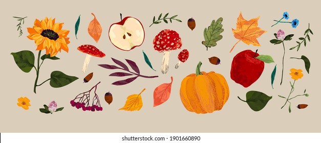 Autumn vector set. Harvest, pomegranate, sunflower, apple, pumpkin, bright leaves, rowan, acorns. Freehand illustration. 