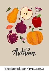 Autumn vector set. Harvest, pomegranate, apple, pumpkin, bright leaves, rowan, acorns. Freehand illustration. 