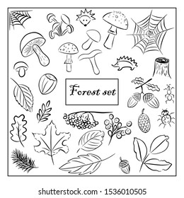 Autumn vector set with leaves, berries, fir cones, nuts, mushrooms and acorns. Detailed forest botanical elements for decoration. Vintage fall seasonal decor. Oak, maple, chestnut leaf drawing.