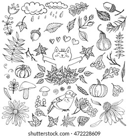 Autumn vector set with leaves, berries and mushrooms, animals, natural icons. Design elements for greeting card.