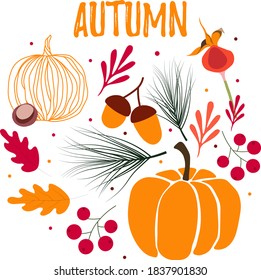Autumn vector set with pumpkin, leaves, acorns and beries  