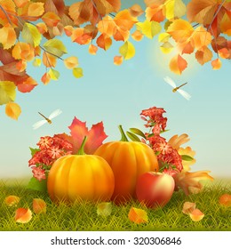 Autumn vector Thanksgiving Card with harvest, pumpkins, fallen leaves, tree branches, dragonfly