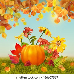 Autumn vector Thanksgiving Card with harvest, pumpkin, flowers, grass, fallen leaves, tree branches