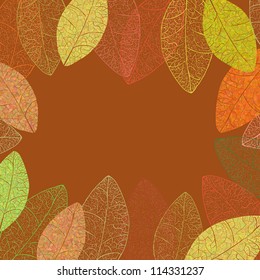 Autumn vector transparent leafs background. Leaf contours.