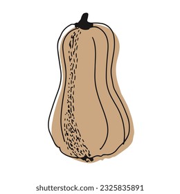 Autumn vector white Pumpkin with black outline. Isolated Element for autumn festive designs, stickers, cards in autumn falling leaf colors on white background. Harvest festival. Lineart