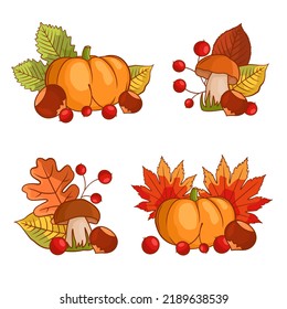 Autumn vegetable composition with pumpkin, mushrooms, leaves, berries, chestnuts. Autumn still life with the autumn harvest season. Vector illustration isolated on a white background