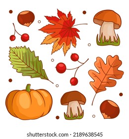 Herbstpflanzliche Zusammensetzung mit Kürbis, Pilzen, Blättern, Beeren, Kastanien. Herbstfest noch Leben mit der Herbsternte Saison. Vektorgrafik einzeln auf weißem Hintergrund