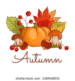 Autumn vegetable composition with pumpkin, mushrooms, leaves, berries, chestnuts. Autumn still life with the autumn harvest season. Vector illustration isolated on a white background