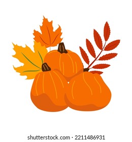 Autumn vegetable composition and pumpkin  squash  leaves  Autumnal still life fall season harvest  Colored flat vector illustration isolated white background