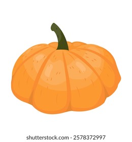 Autumn vegetable food plant pumpkin cartoon illustration