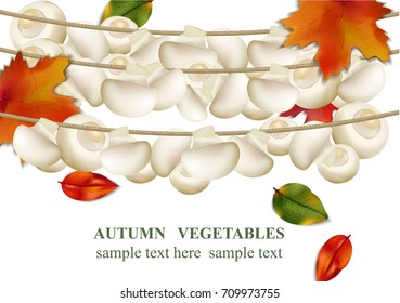 Autumn vegetable Mushroom background Vector realistic illustrations