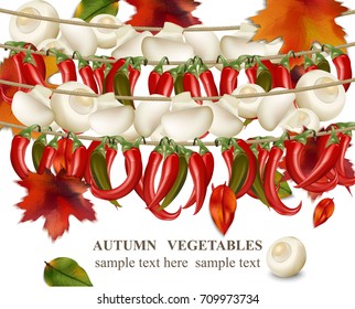 Autumn vegetable Mushroom and chilli peppers background Vector illustration
