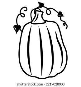 Autumn vegetable pumpkin, black outline, vector isolated illustration in doodle style
