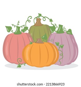 Autumn vegetable pumpkin, color vector isolated illustration icon