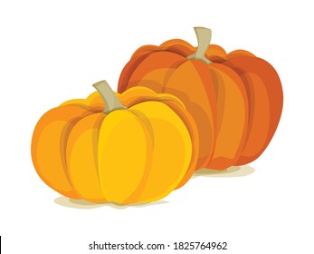 Autumn vegetable yellow pumpkin on a white background. Halloween. Vector file.	