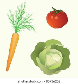 Autumn vegetables. EPS10