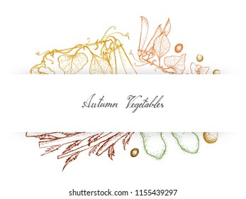 Autumn Vegetables, Illustration of Hand Drawn Sketch Green Peas, Soybean or Edamame and Celeriac or Turnip Rooted Celery.