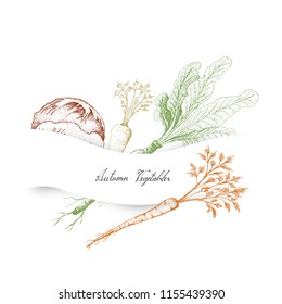 Autumn Vegetables, Illustration of Hand Drawn Sketch Delicious Fresh Green Radicchio or Italian Chicory, Hamburg Parsley and Horseradish or Armoracia Rusticana.