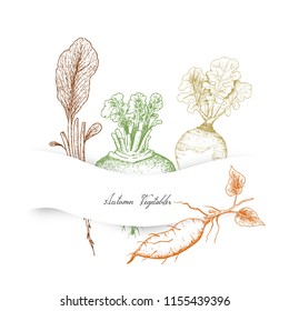 Autumn Vegetables, Illustration Hand Drawn Sketch of Radish, Rutabaga or Brassica Napus, Sweet Potato or Kumara and Turnip or Brassica Rapa.