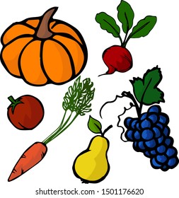 Autumn vegetables on a white background