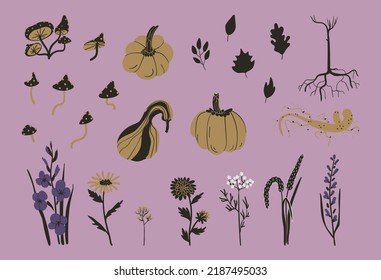 Autumn vegetables, plants, flowers, mushrooms. Harvest set from garden and vegetable garden