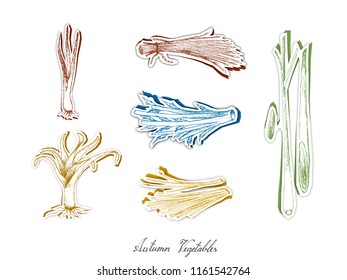 Autumn Vegetables, Set of Hand Drawn Sketch of Assorted Vegetables are Harvested in Autumn. Trendy Origami Deep Paper Art Carving Style. 