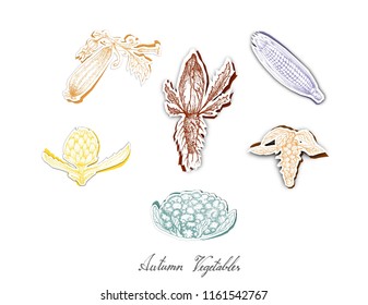 Autumn Vegetables, Set of Hand Drawn Sketch of Assorted Vegetables are Harvested in Autumn. Trendy Origami Deep Paper Art Carving Style. 