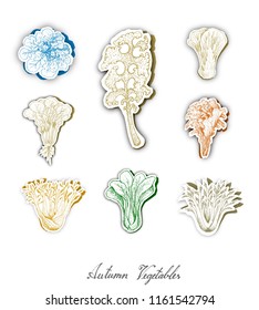 Autumn Vegetables, Set of Hand Drawn Sketch of Assorted Salad Vegetables are Harvested in Autumn. Trendy Origami Deep Paper Art Carving Style. 