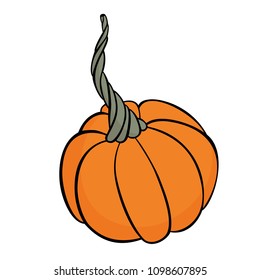 Autumn vegetables. Vector hand drawn pumpkin on white background. Perfect clip art for halloween