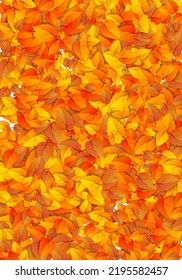 Autumn vertical leaf background. Golden falling foliage autumn banner isolated on white. Vector illustration seasonal fall design template