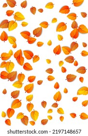 Fondo vertical de hoja de otoño. Banner otoñal de oro en caída libre aislado en blanco. Plantilla de diseño de caída estacional de ilustración de vector