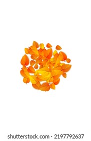 Autumn vertical leaf background. Golden falling foliage autumn banner isolated on white. Vector illustration seasonal fall design template