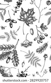 Autumn vertical seamless pattern with fall leaves, wild berries, nuts hand drawn vector illustrations. Vintage botanical  background in engraving style. NOT AI generated