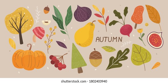 Autumn Vibes Concept. Set of trendy hand drawn autumn objects, fruits, vegetables, leaves. All elements are isolated and well drawn. Autumn mood. Colorful Cartoon Flat Vector Illustration