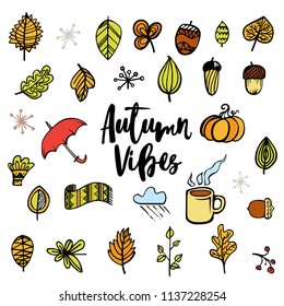 Autumn vibes! Hand drawn different colored autumn leaves. Sketch, design elements. Vector illustration.
