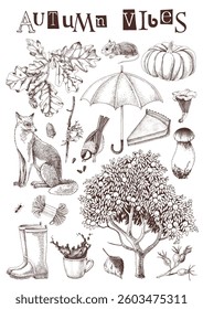 Autumn vibes hand drawn poster