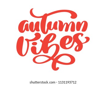 Autumn vibes hand lettering phrase on orange Vector Illustration t-shirt or postcard print design, vector calligraphy text design templates, Isolated on white background