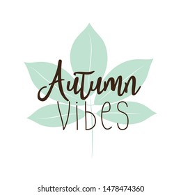Autumn vibes text, on mint green leaf, and white background.