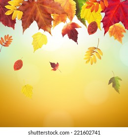 Autumn Vintage Border With Gradient Mesh, Vector Illustration