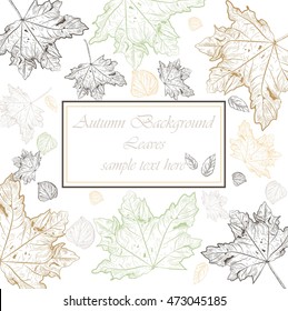 Autumn Vintage card background. Vector hand drawn autumn tree leaves pattern. Retro engraved technique