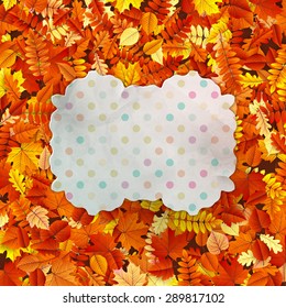 Autumn vintage greeting card on colorful leaves background with copy space. EPS 10 vector file included