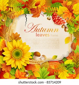 Autumn vintage greeting card on colorful leaves background with place for text. Vector illustration. Check my portfolio for raster version.