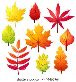 Autumn vivid leaves set. Colorful objects with brush strokes decorations on white background.