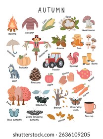 Autumn Vocabulary Poster. Educational autumn-themed poster with cute illustrations of fall objects and animals. Perfect for learning, classroom decor, or homeschool use