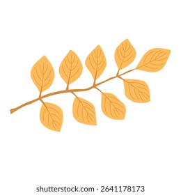 autumn walnut leaf clipart, golden compound leaf vector, fall tree foliage graphic