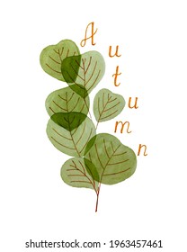 Autumn watercolor branch with leaves, inscription AUTUMN, hand drawing, vector, on a white background. For banner, postcard, background, backdrop.