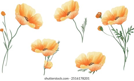 Autumn watercolor flowers, a set of orange-yellow flowers