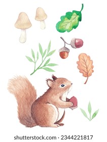 Autumn watercolor illustration with squirrels, leaves, acorn, mushroom